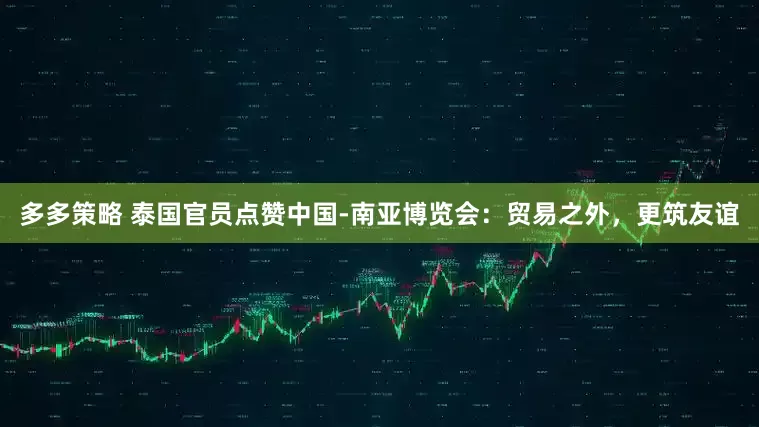 多多策略 泰国官员点赞中国-南亚博览会：贸易之外，更筑友谊
